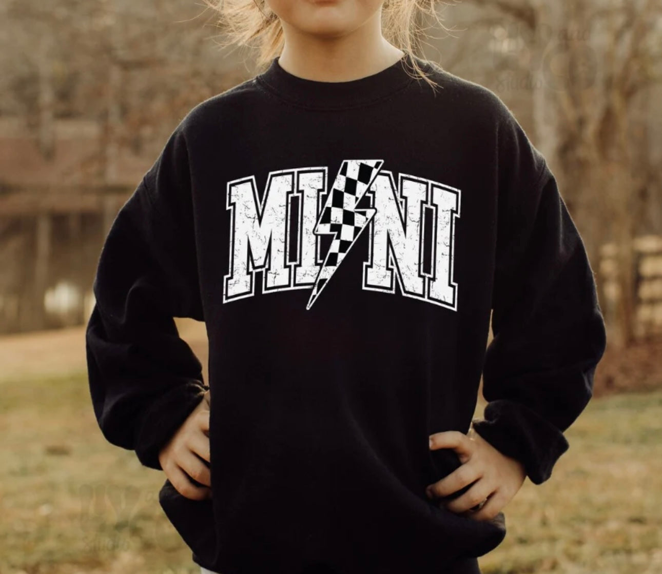 Mini - Toddler/Youth Crewneck